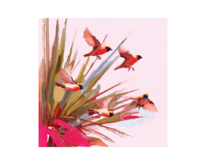 Weaver Birds flying out of an Illala Palm